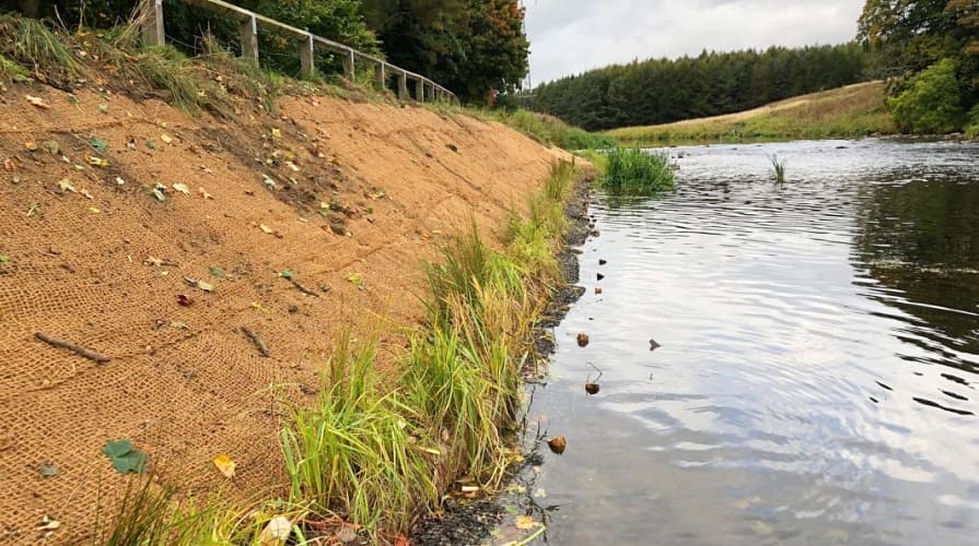 Kokosnetz am Ufer eines Flusses