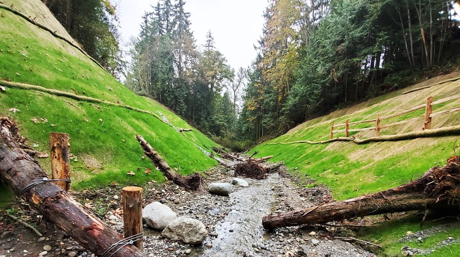 Erosionsschutz von Böschungen entlang eines Wasserlaufs