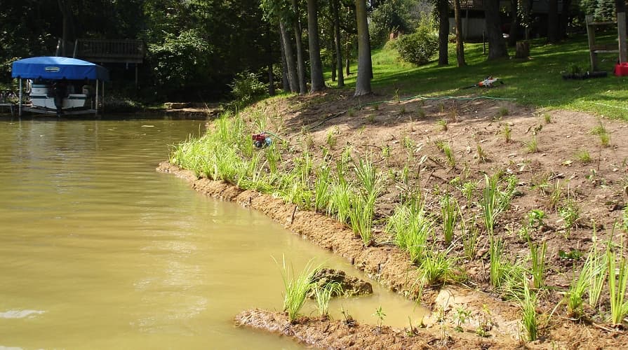 Kokoswalzen schützen das Ufer eines Bachs
