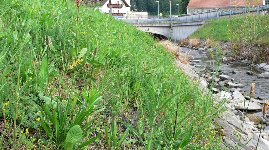 Eine dauerhafte Böschungsmatte schützt das Ufer eines Bachs