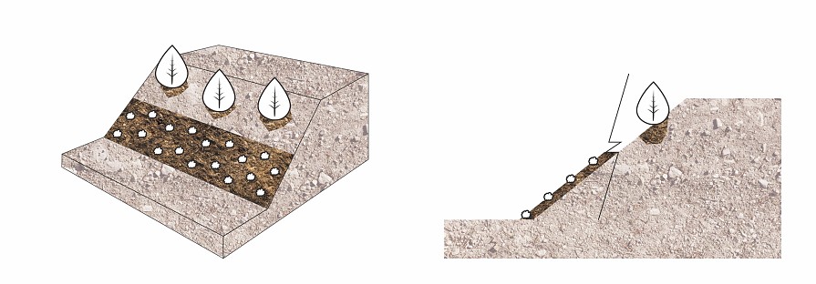 Begrünung der Böschung nach dem Verlegen der Erosionsschutz-Böschungsmatt