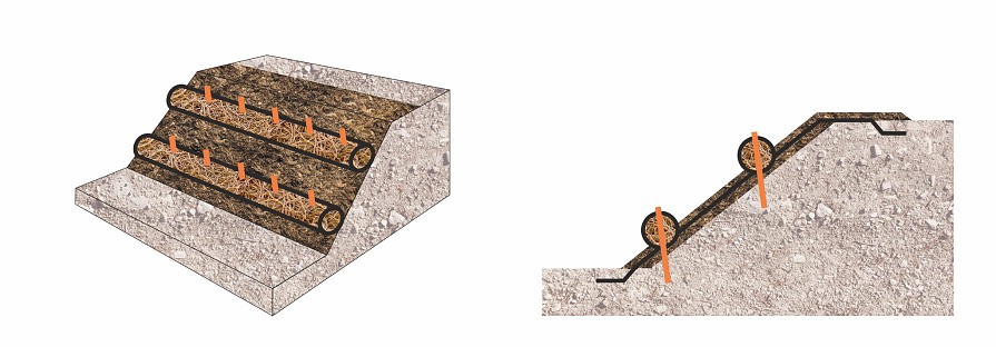 Befestigung von Kokoswalzen an der Böschung